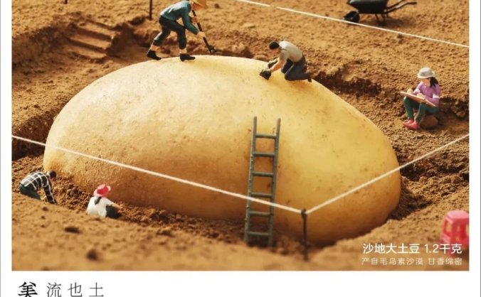 沃尔玛“省钱文学”，海报创意绝了！